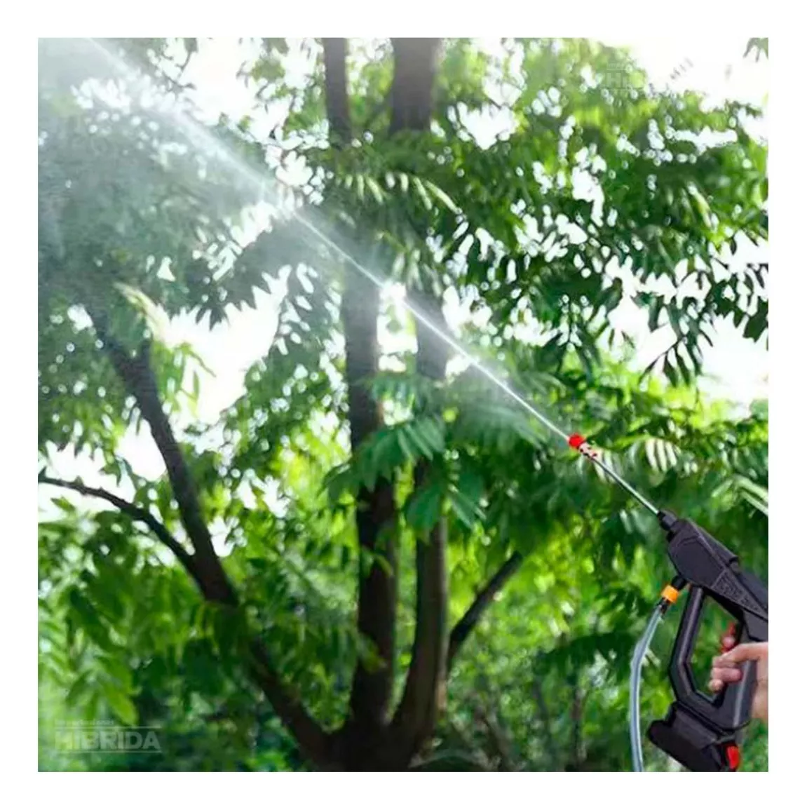 D_NQ_NP_2X_776947-MPE69416668084_052023-F