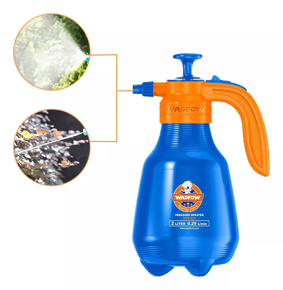 D_NQ_NP_2X_679237-MPE74936659135_032024-F