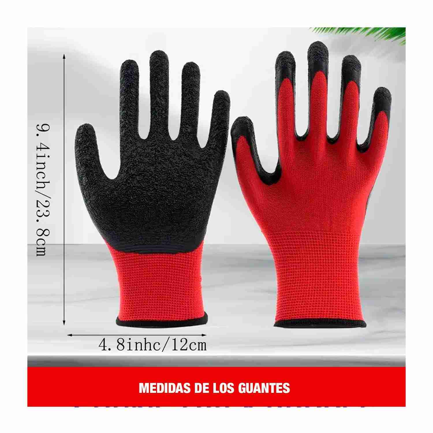 PDB170068 - G.ROJO_8