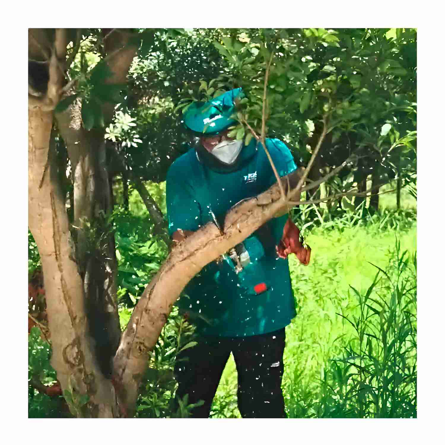 TGSLI20851---LENTES-2A.TO_8