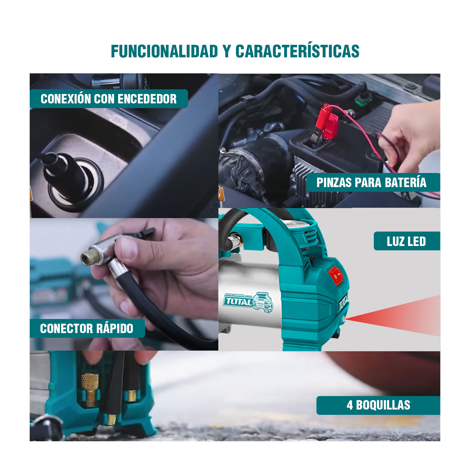 TVLI2026-TCLI120502-TTAC1406_10