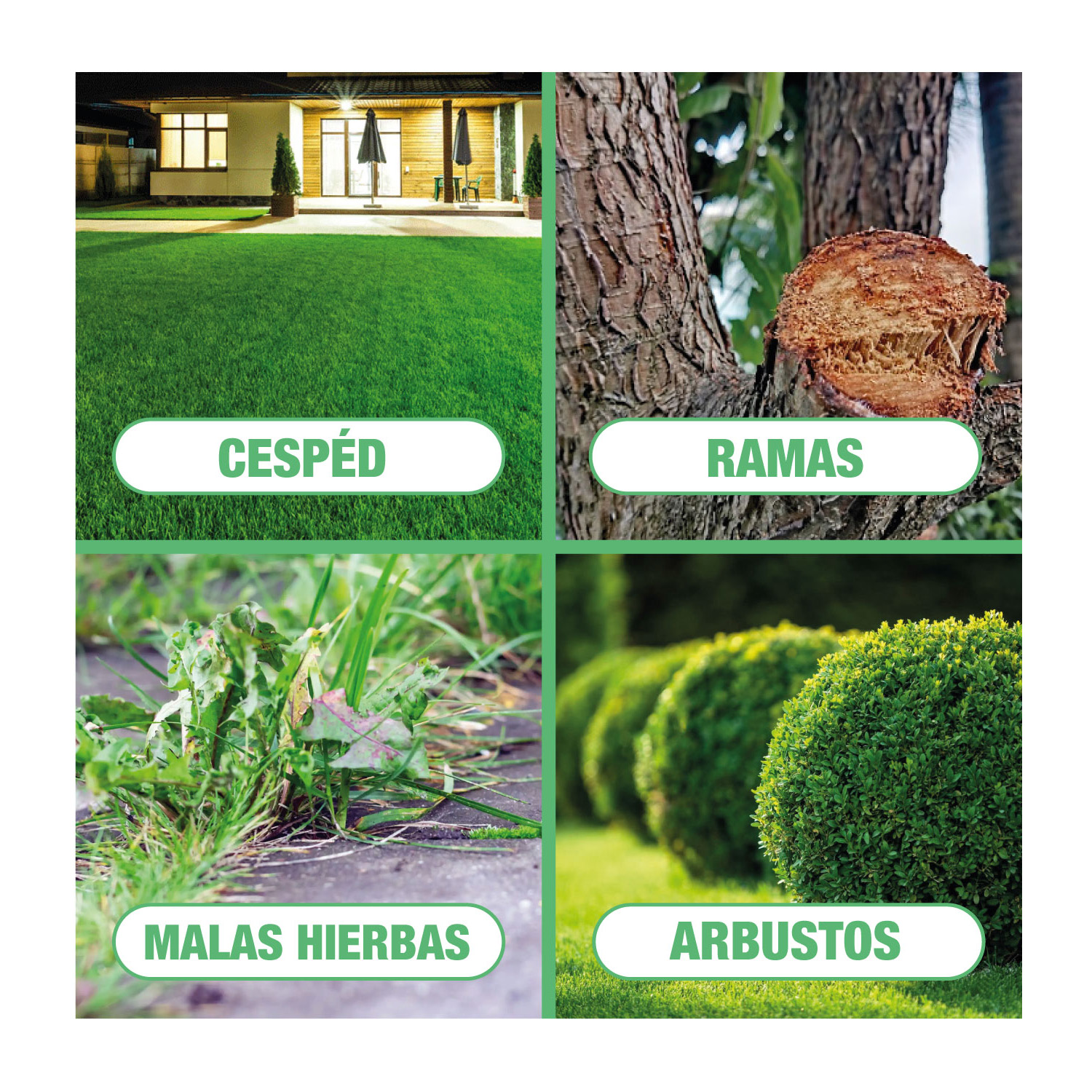 MTGDA-2BT - G.ROJO_5