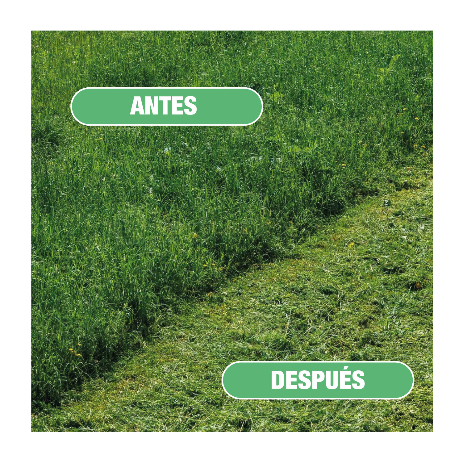 MTGDA-2BT - G.ROJO_7