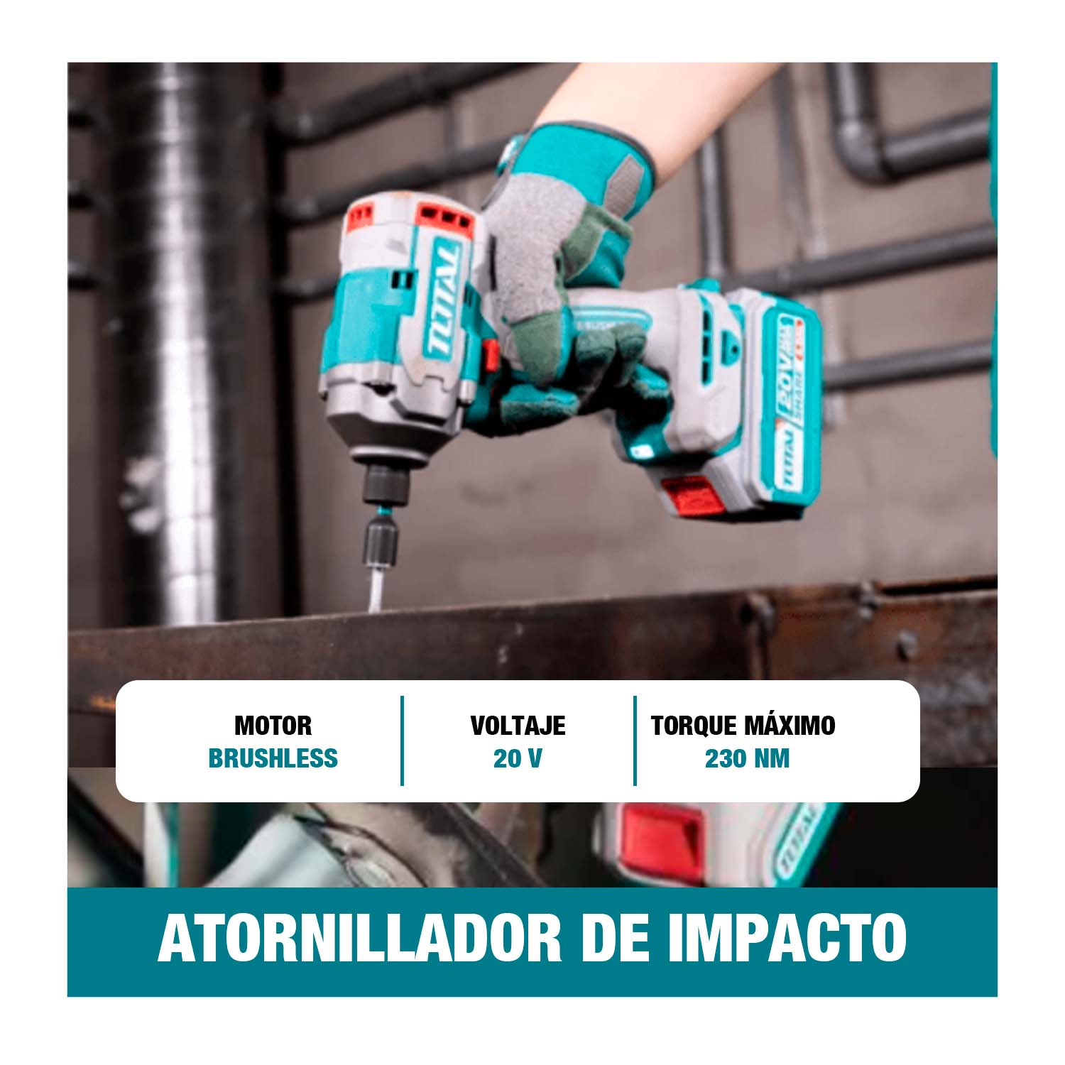 WRM1101 - TIRLI2023_8