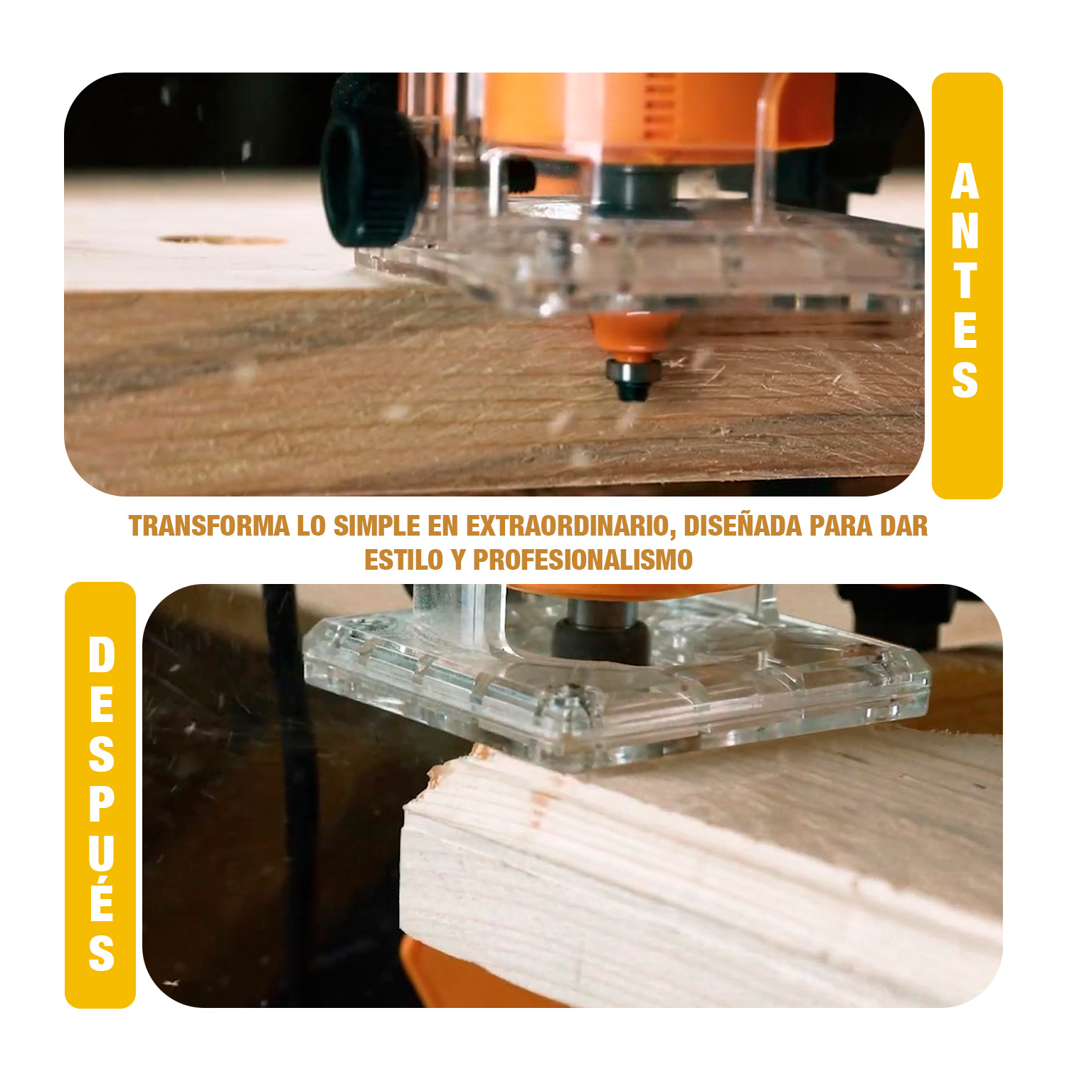 PLM6001 - AKRT1201_MELI - 8