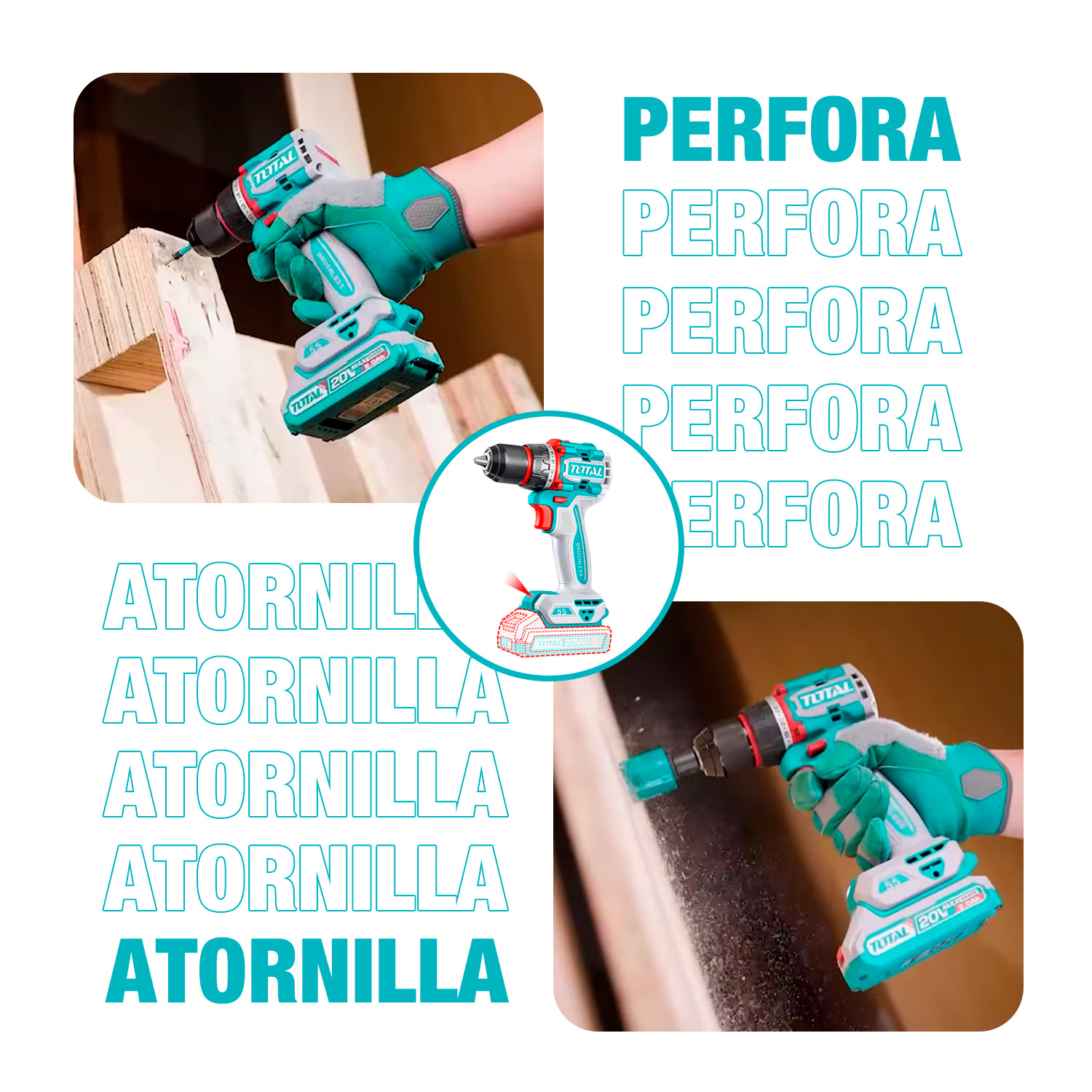 TDLI205582 - WWF6B08 - FS_MELI - 5