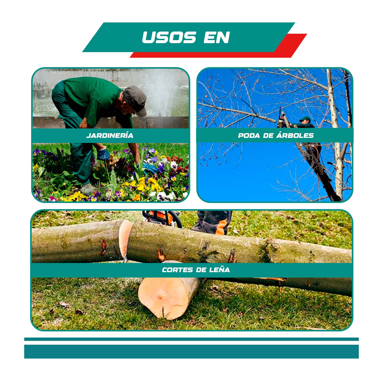 TSPLI20162 - TGSLI2085_6