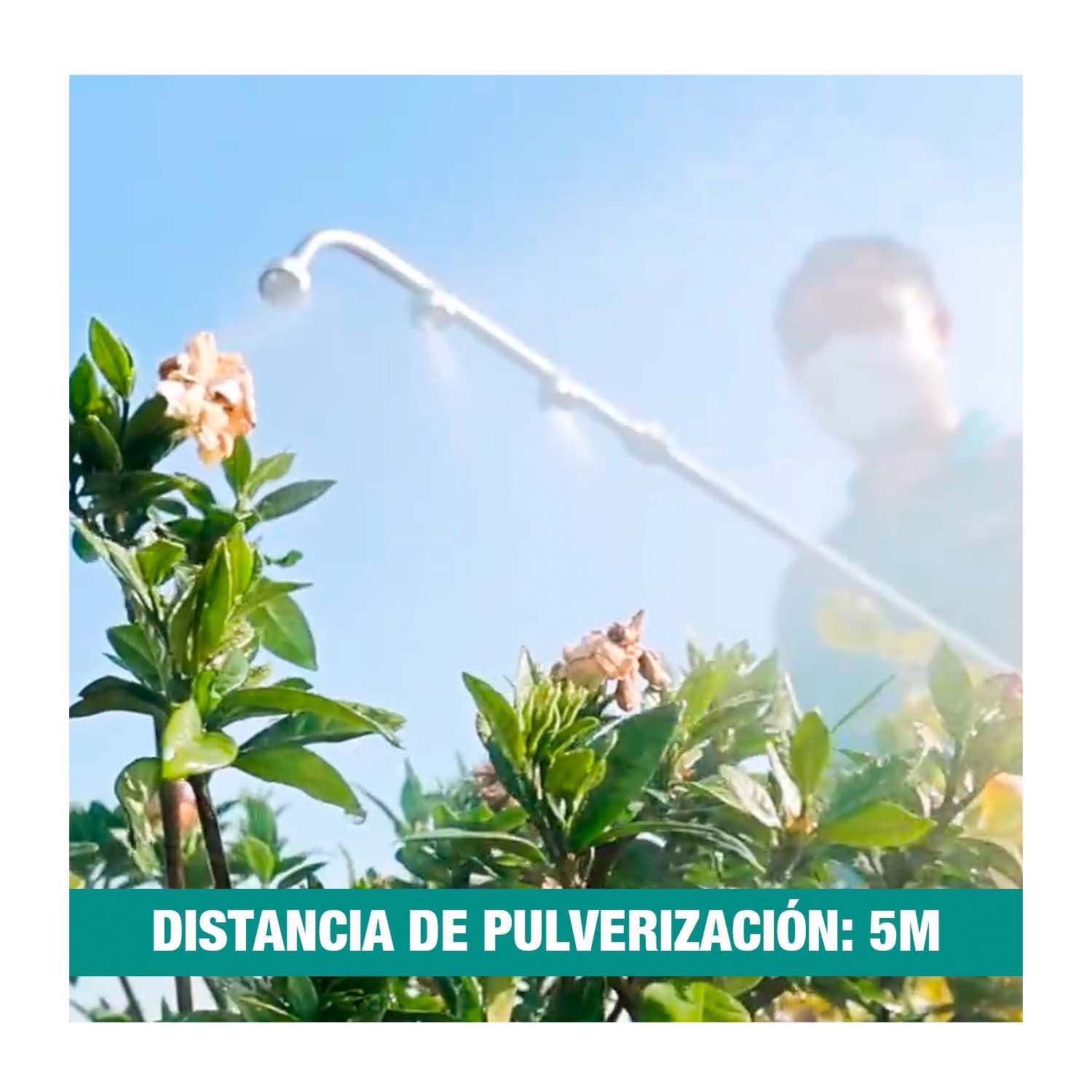 TSPLI20162 - TGSLI2085_8