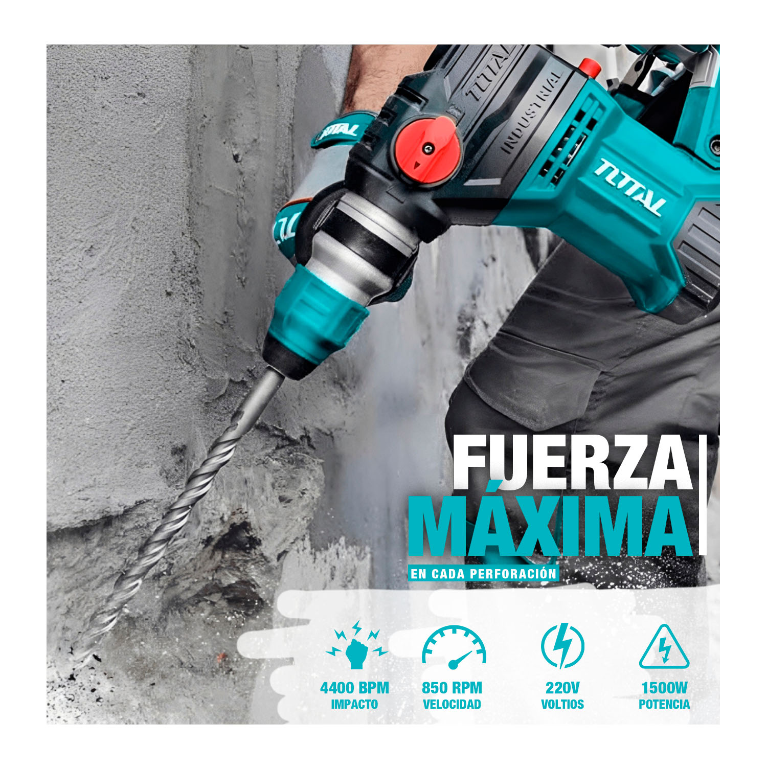 TH1153216 - TAC451301.1_MELI - 2