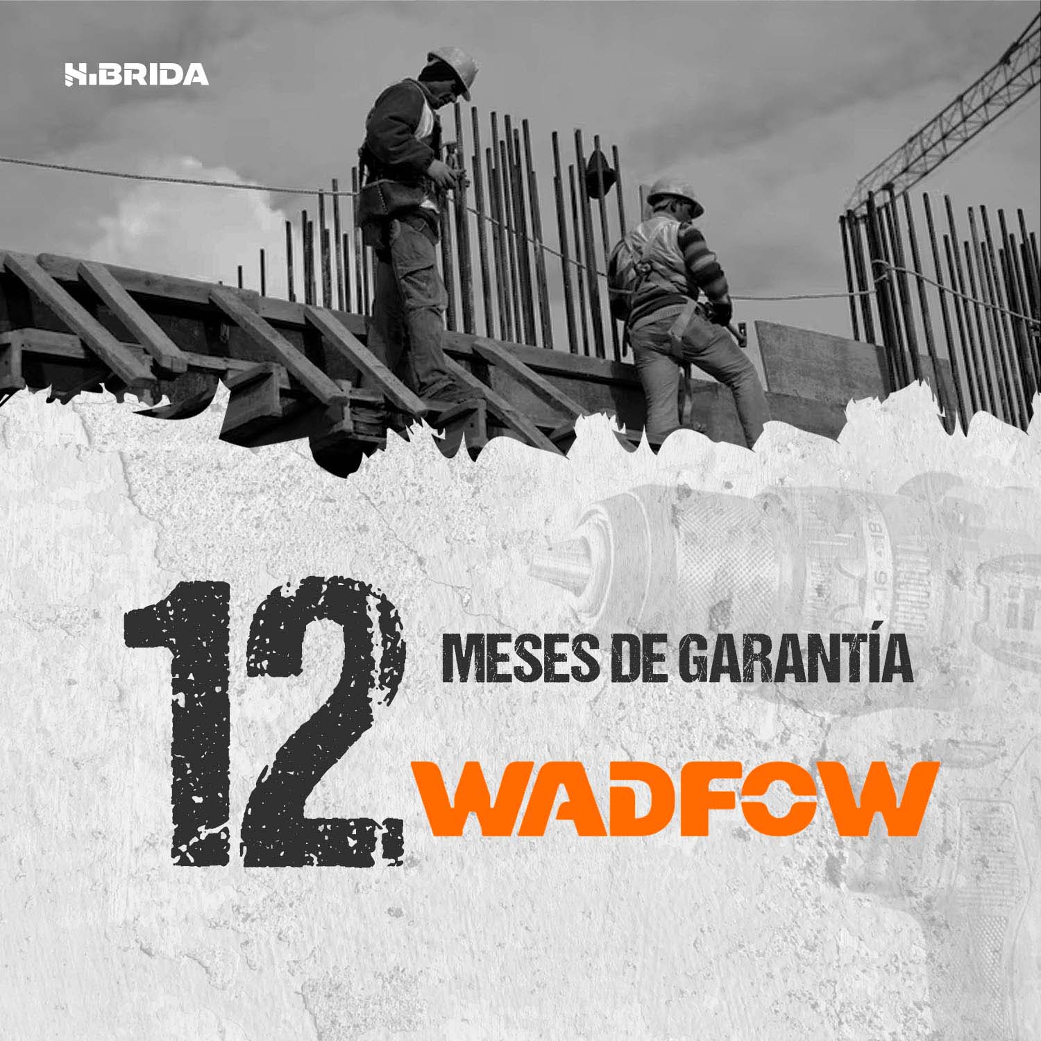 WCB3H13_8