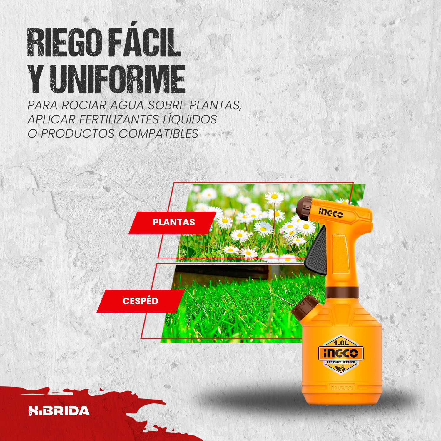 HSPP30102_5